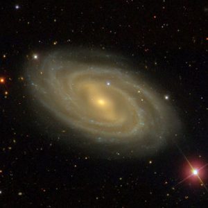 M 109
