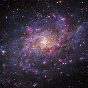 M 33