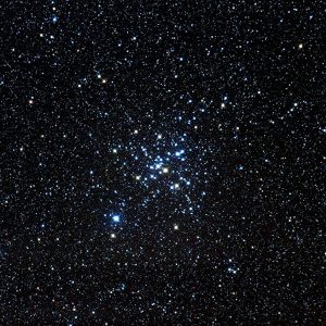 M 41