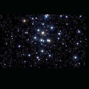 M 44