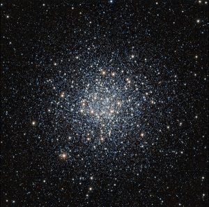 M 55