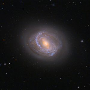 M 58