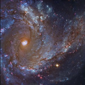 M 61