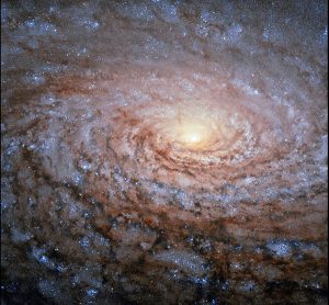 M 63