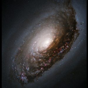 M 64