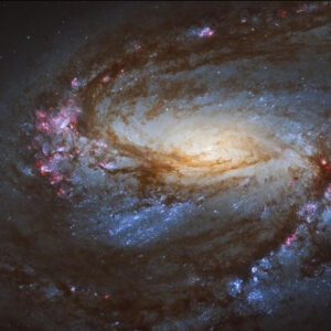 M 66