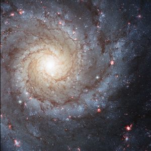 M 74
