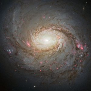 M 77