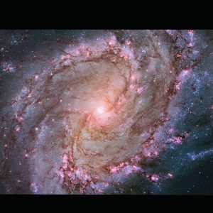 M 83