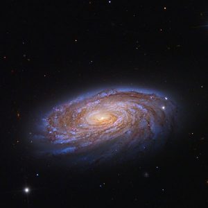 M 88
