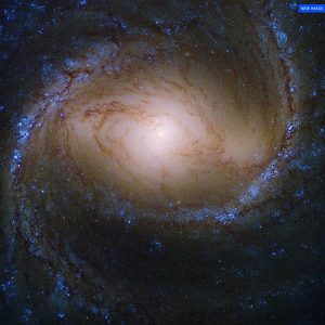 M 91