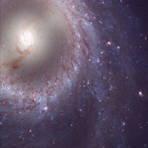 M 95